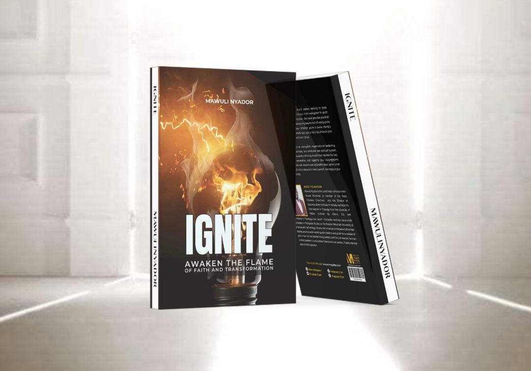 Book cover art for Ignite