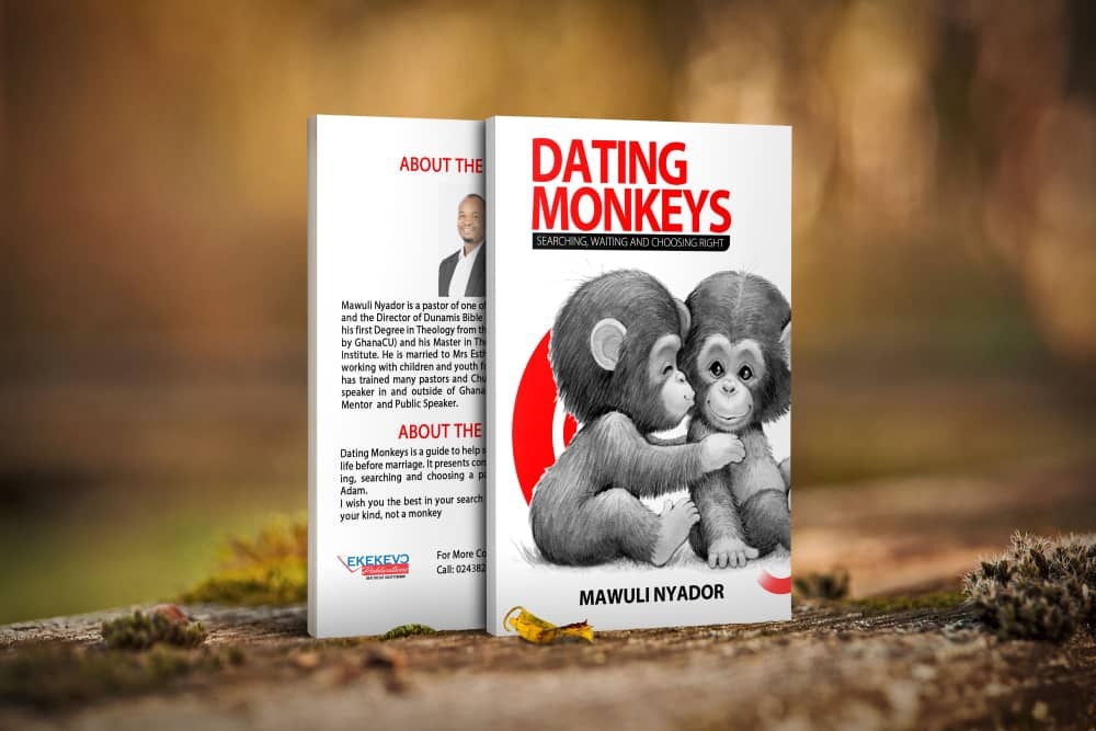 Book cover art for Dating Monkeys